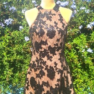 Fancy black zip up back sequins dress with tan slip underneath provides modesty